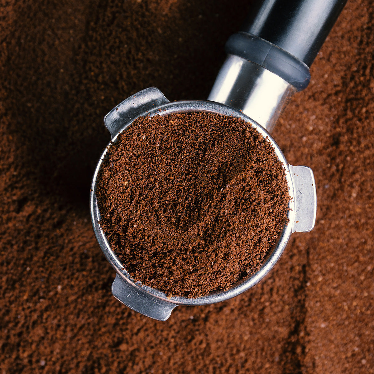 ARABICA-ROBUSTA Coffee Powder – TrueSouth